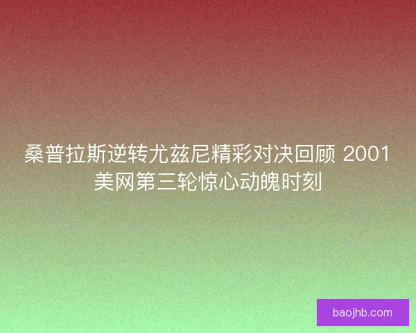 桑普拉斯逆转尤兹尼精彩对决回顾 2001美网第三轮惊心动魄时刻