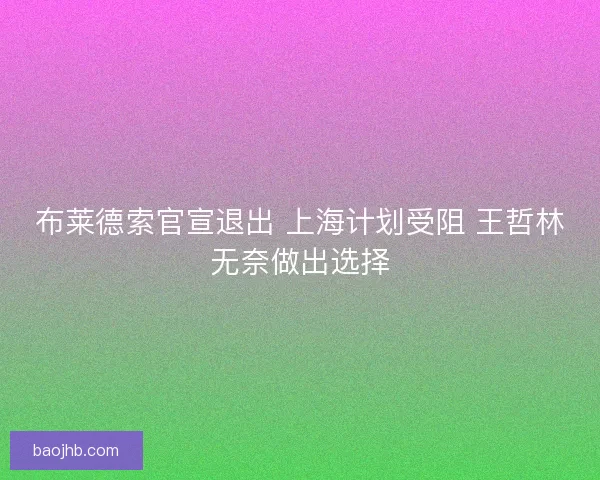 布莱德索官宣退出 上海计划受阻 王哲林无奈做出选择